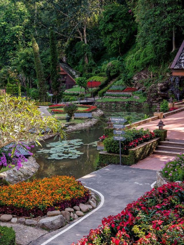 🌸 Chiang Mai's Floral Paradise: Flora Creek 🏞️