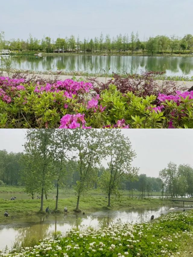 長沙周邊遊——洋湖濕地公園