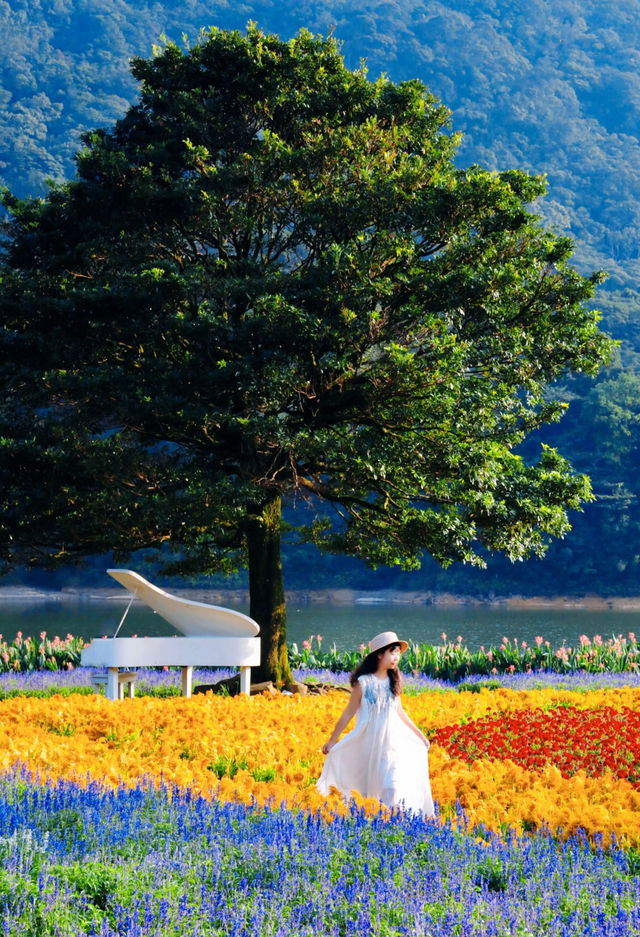 廣州1小時直達 溯溪+花海+爬山