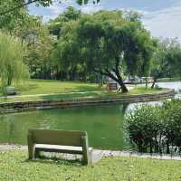廈門市內好去處|在南湖公園遛彎