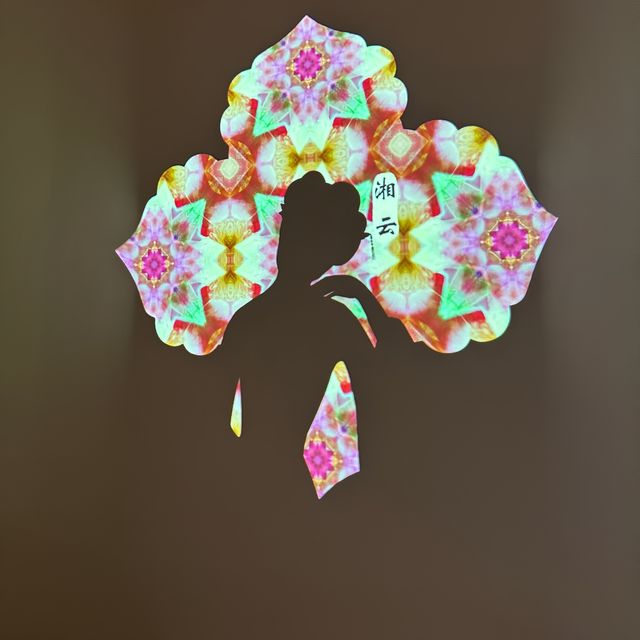 鄭州博物館新展丨《紅樓夢》數字藝術展！！！