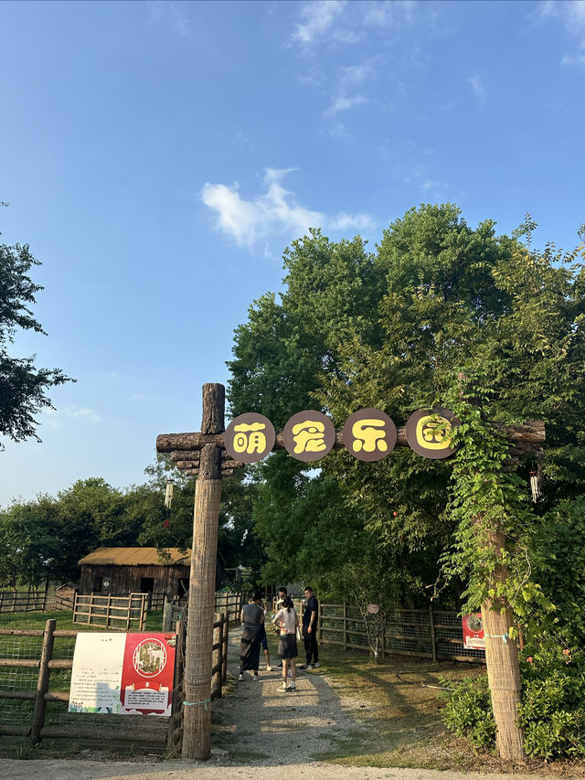 這度假村遛娃性價比絕了
