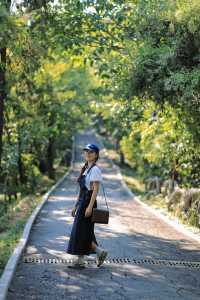 武漢市內冷門公園 ！地鐵直達治癒徒步路線