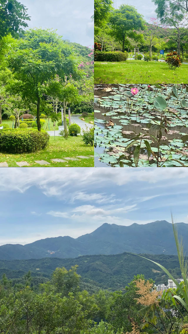 本地人告訴你，普寧去哪兒玩