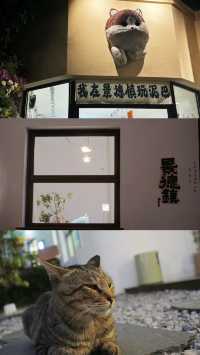 我在景德鎮看見我自己。