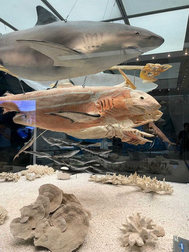 天津|國家海洋博物館～免費遛仔好去處。