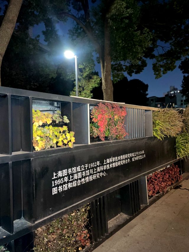 上海真的有很多人失業嗎?工作日白天來上圖總館看看。