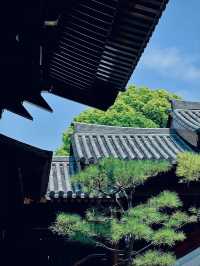 魔都最美寺廟|寶山淨寺，夢迴大唐。