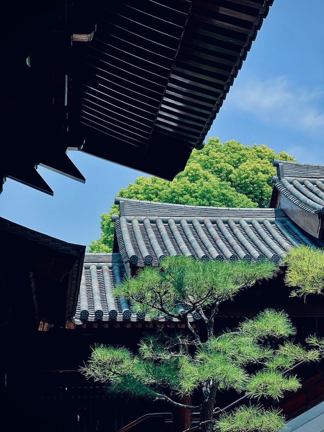 魔都最美寺廟|寶山淨寺，夢迴大唐。