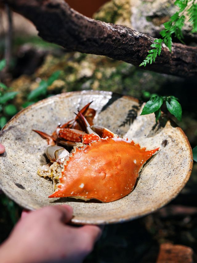 黑珍珠餐廳 | 三里屯新副本，曲廊院茶食。