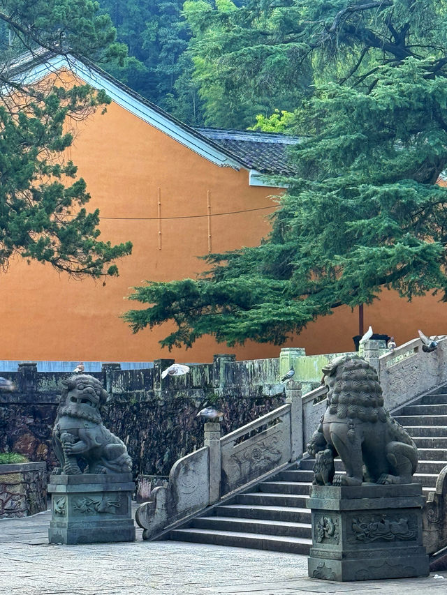 寧波古剎中的頂流——天童寺。