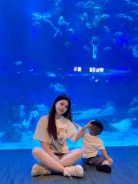重慶遛娃 | 國慶玩樂季：然寶兒心心念念的海洋公園我們來啦。