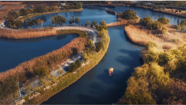 馬踏湖濕地公園，一場與自然的詩意邂逅。