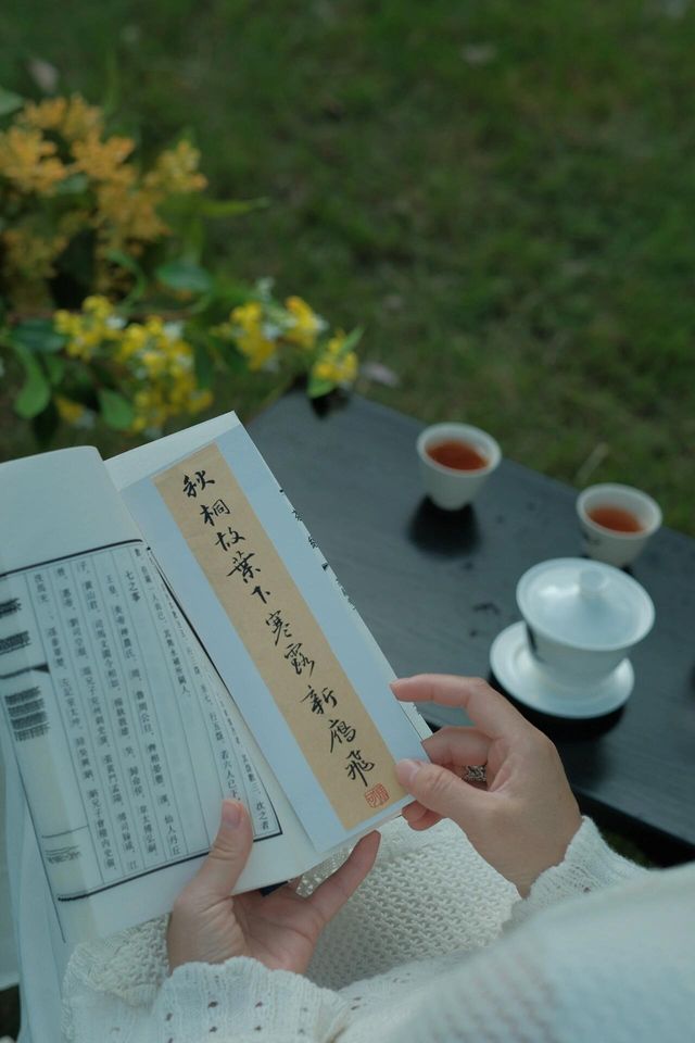 去九溪尋一場桂花雨。