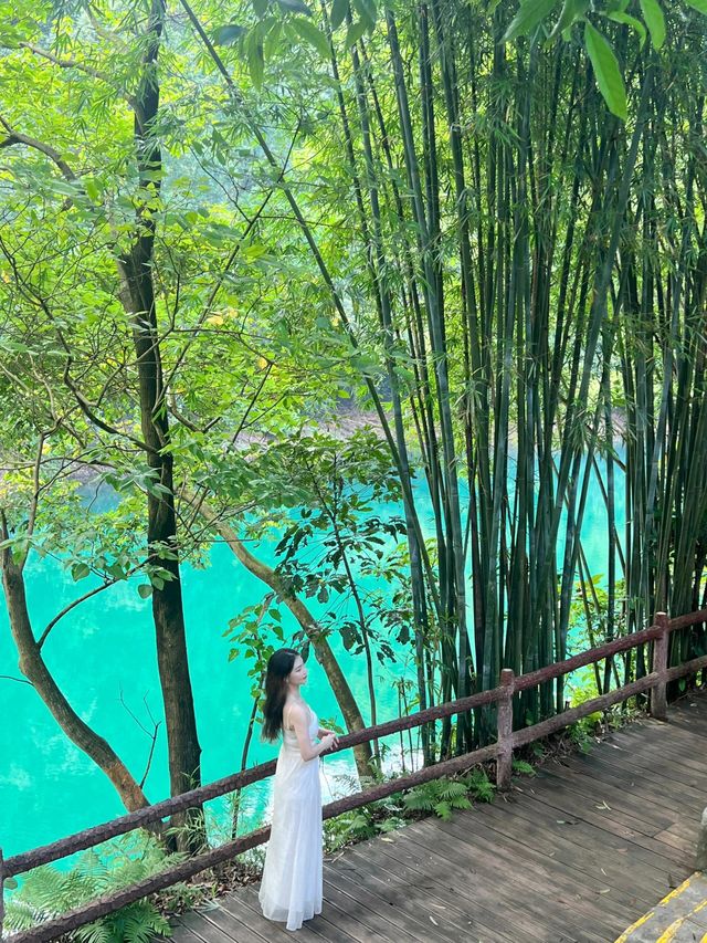 鼎湖山蝴蝶谷人間綠寶石屬於廣東的藍月谷。