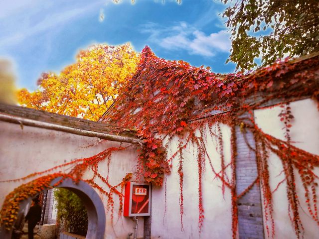西安八路軍辦事處,一個紅色景點,值得推薦。 西安八路軍辦事處,一個紅色景點,值得推薦。