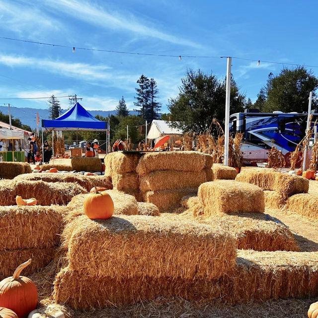 Spooky Halloween Attractions In the Haunted house