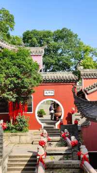 武漢長春觀｜美哭！遠離喧囂的賞銀杏地。