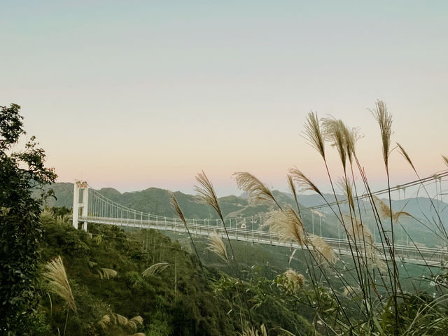開車兩小時也要看的夕陽，在這座茶山。