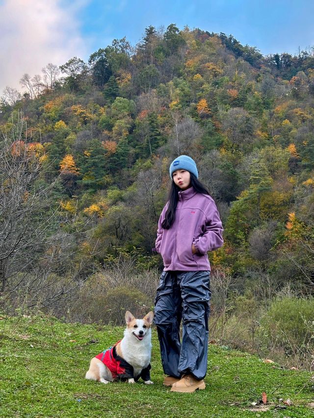 西安1.5小時可以封神的賞秋吸氧地！媲美川西！