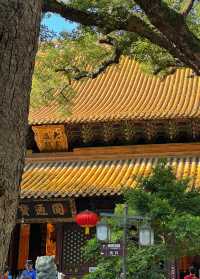 舟山法雨寺丨禮佛「皇家寺院」。