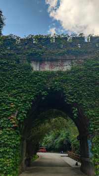 喀斯特世界自然遺產地——施秉雲台山。