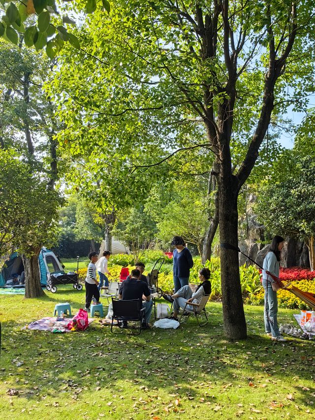 可以衝嘉北郊野公園的稻田（附保姆級攻略）。