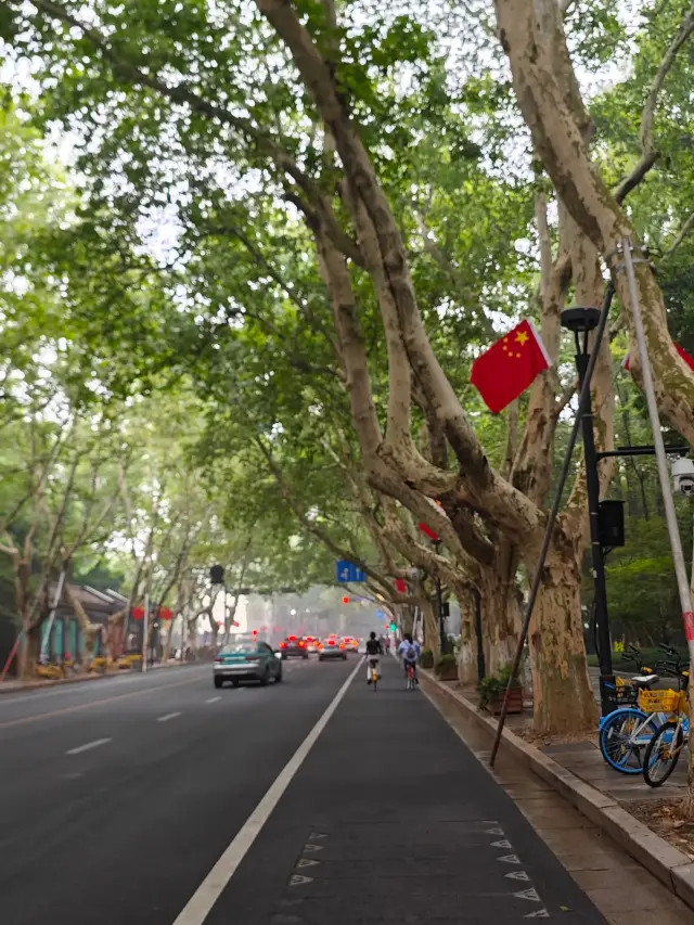 Hangzhou West Lake cycling guide: Ride into the most beautiful autumn. 