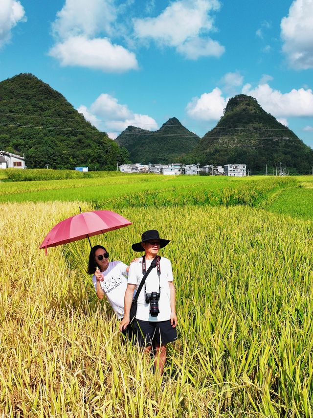 黔西南安龍海莊村•縱橫交錯的優美線條&豐收的田園詩畫。