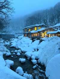 Experience the Enchanting Snowy Wonderland of Japan