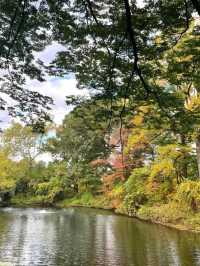 Experience the Vibrant Fall Foliage in New York City via Subway