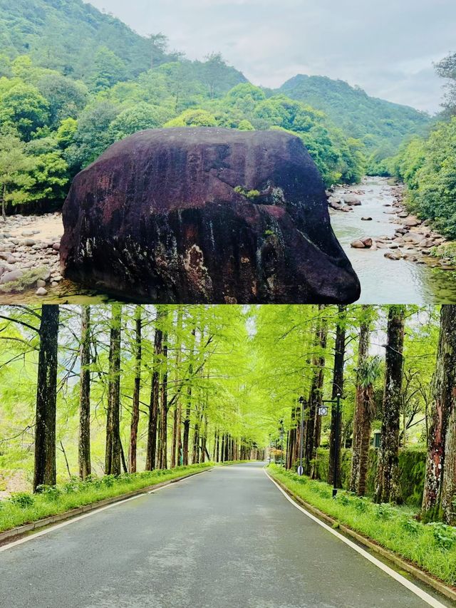 秘境！探索江西上饶的神秘仙境。