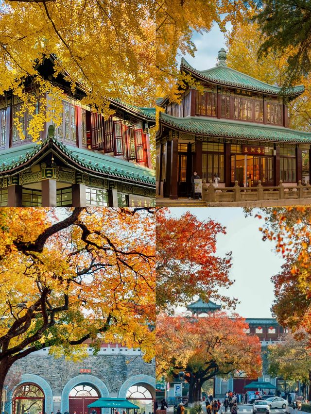 南京三日遊玩路線全攻略。