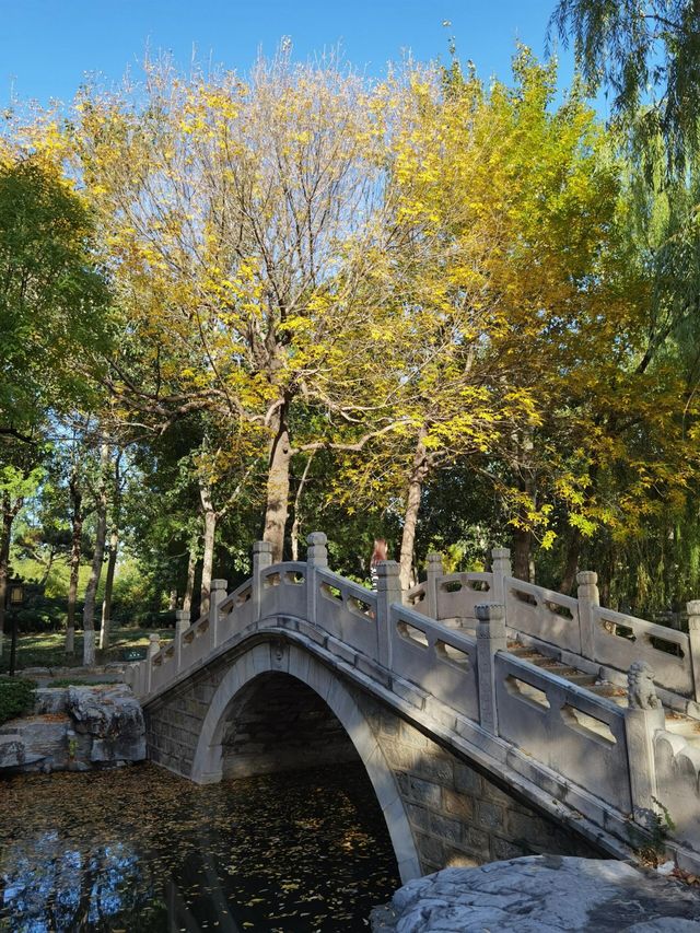 天津寧園。