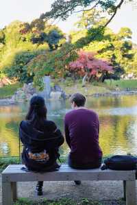 東京賞秋｜最後4天，這個精美的日式庭院不僅有紅葉