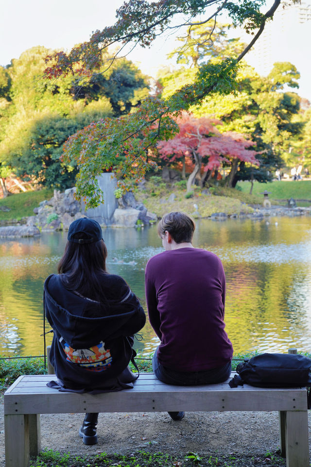 東京賞秋｜最後4天，這個精美的日式庭院不僅有紅葉