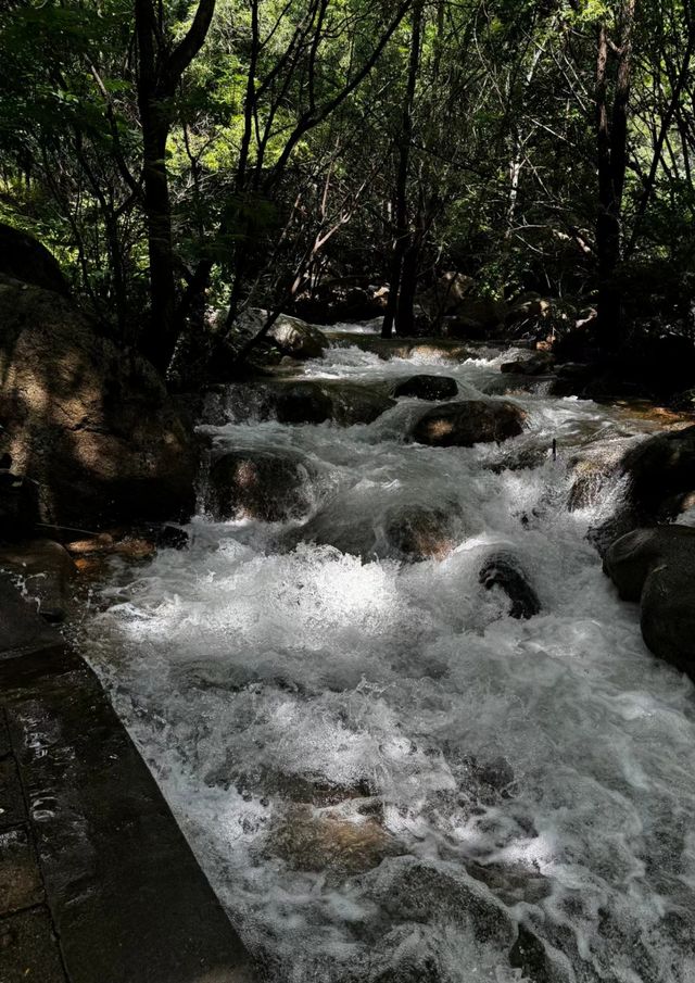 霧靈山好美，後悔沒有早點來