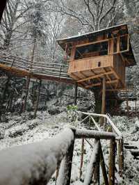 碧峰峽野奢之旅 | 暮雲春樹民宿遇見雪中的冬日戀歌