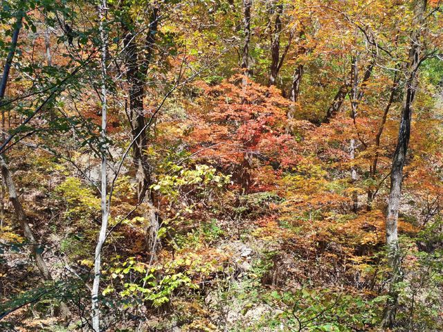 本溪關山湖：湖光山色的魅力畫卷