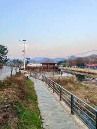 中華山鳥類省級自然保護區