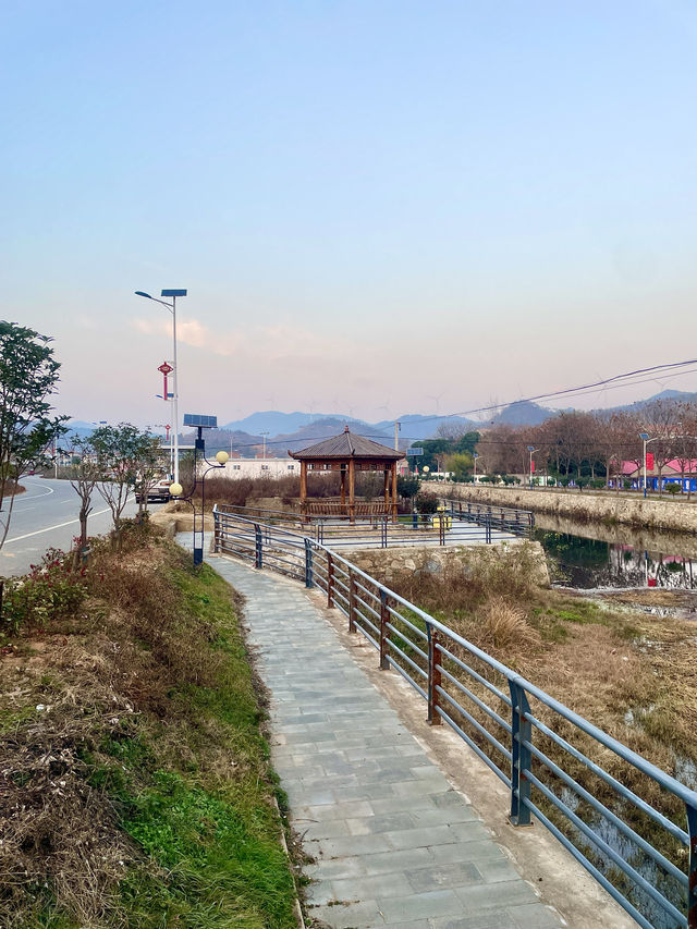 中華山鳥類省級自然保護區