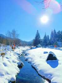 對不起了雪鄉，與之相比這裡更是童話世界！