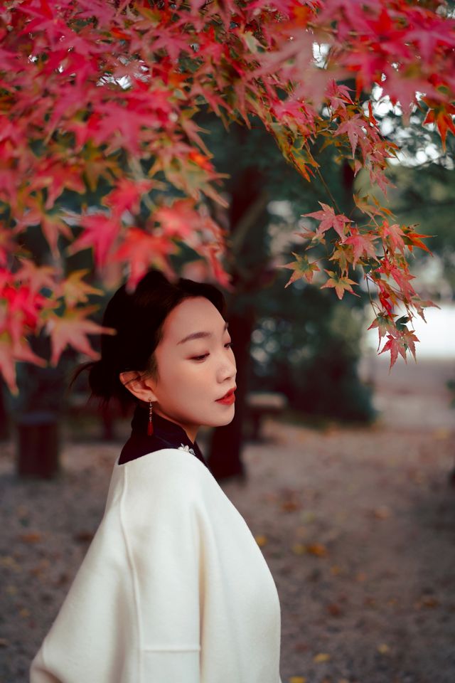 穿著馬面裙遊京都｜上賀茂神社