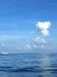 Magical Experience of Whale Watching in Mirissa