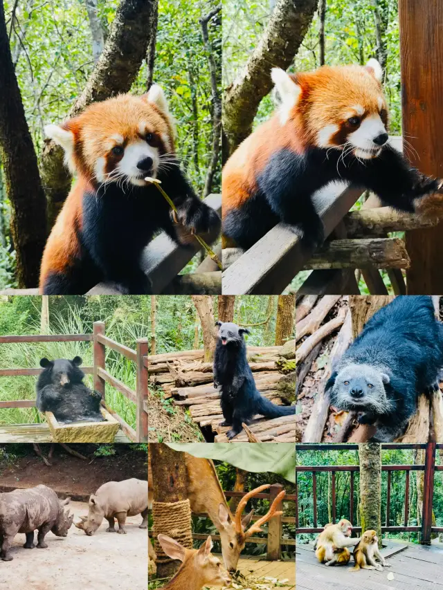 A paradise for children