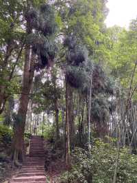 哈爾濱-漠河-北極村｜6日深度遊 超詳細攻略快收藏