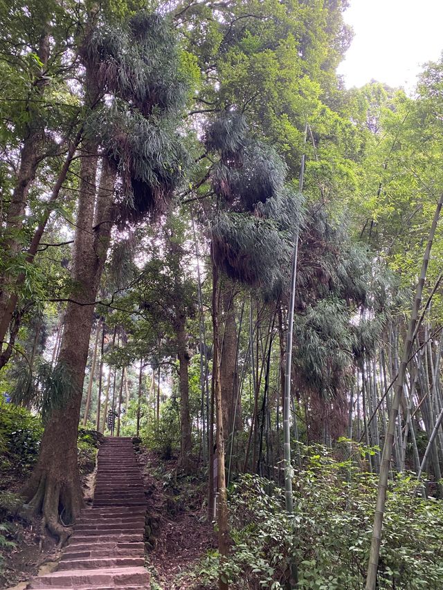 哈爾濱-漠河-北極村｜6日深度遊 超詳細攻略快收藏