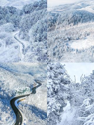 Explore Pyeongchang-gun: A Beginner's Guide (Copy and Paste Recommended)