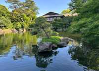 我在名古屋的寶藏發現｜德川園，每一步都是驚喜的園林之旅