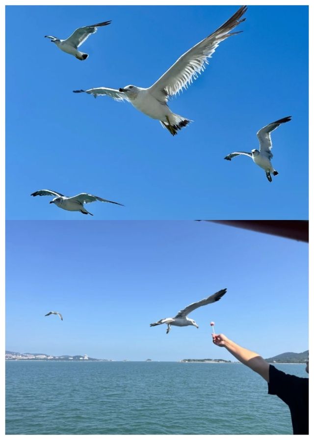 狠狠愛了，我心中的王炸民宿！